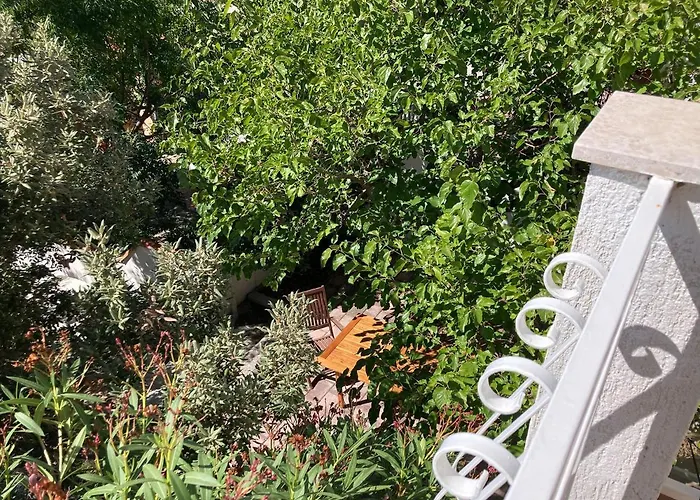 Barbat 28 * Barbat na Rabu